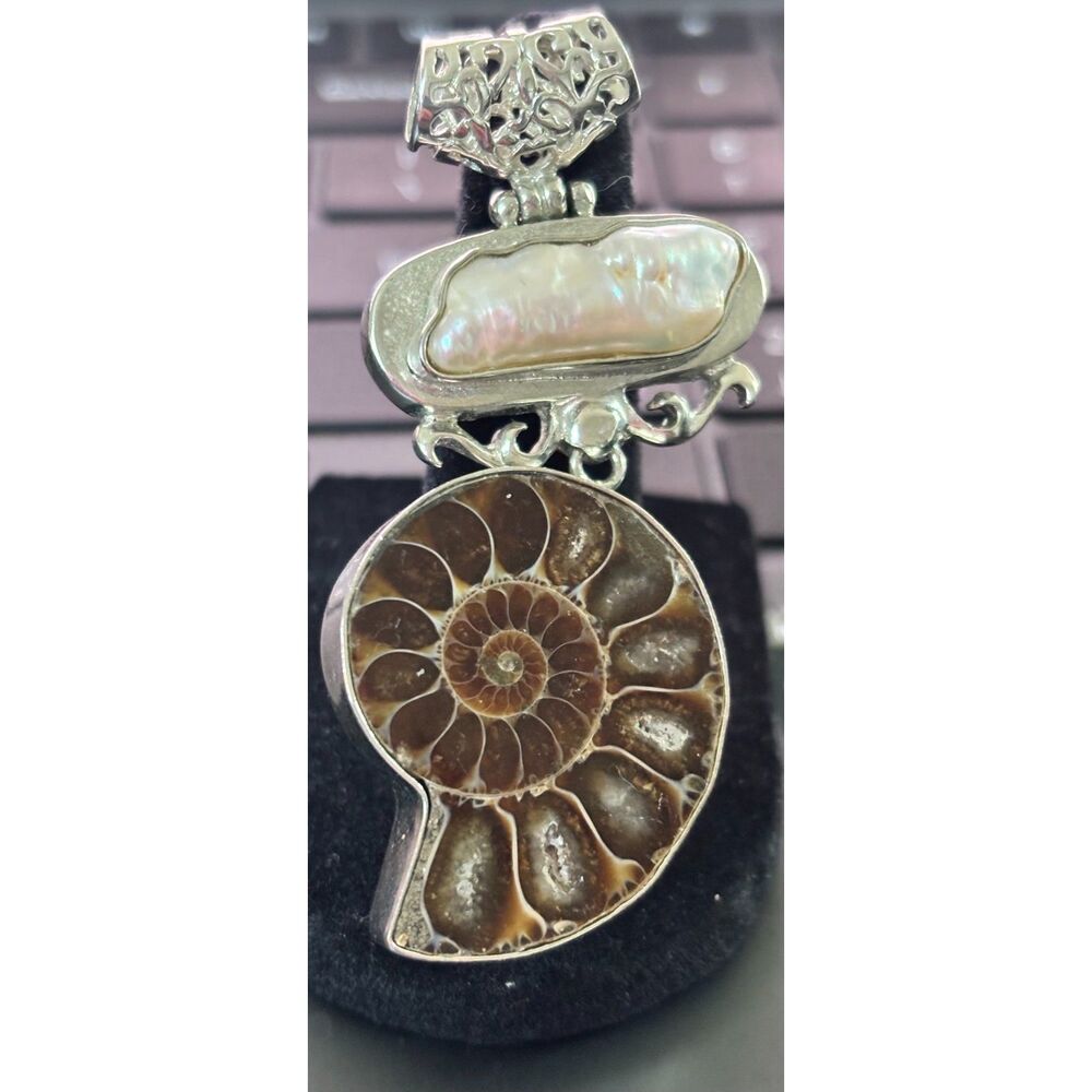 Vintage Nautilus Natural Shell Golden Ration Fibonacci's Sequence Pendant